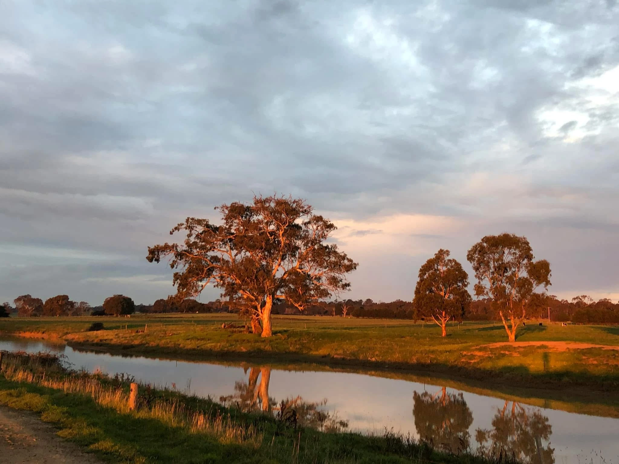 Happy Pets at Eastside Boarding Kennels - Moment 48